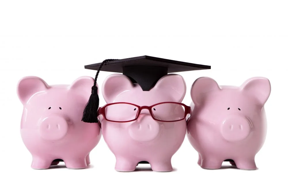Row of pink piggy banks, one dressed as a college graduate with mortar board and glasses. Isolated on white.